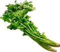 Wansoy | 80g-100g