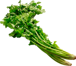 Wansoy | 80g-100g