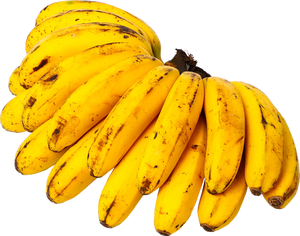 Saging Latundan | 1000g-1200g