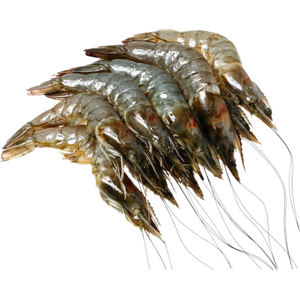 Hipon Suahe | 500g