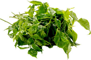 Sili Leaves | 150g-200g