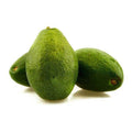 Avocado | 450g-600g