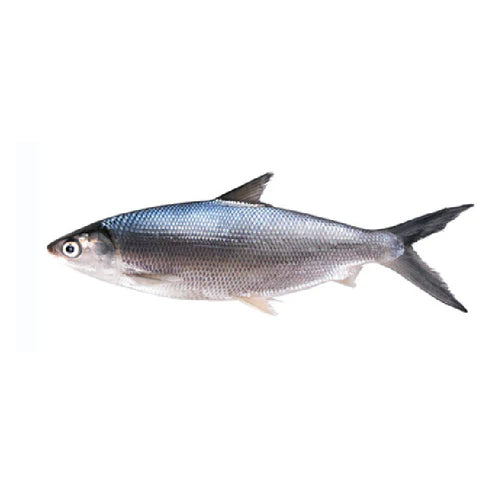 Bangus | 1kg