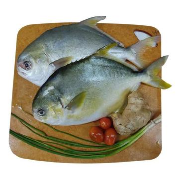 Pampano White | 1kg