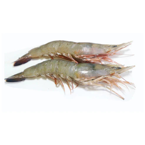 Hipon Suahe | 500g