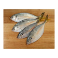 Salay Salay | 1kg