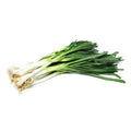 Onion Leeks | 100g