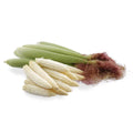 Young Corn | 250g
