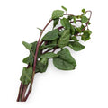Alugbati | 200g