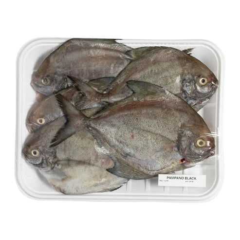 Pampano White | 1kg