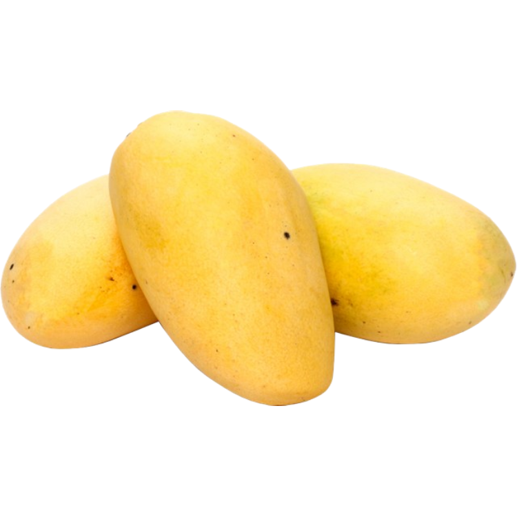 Manga Large | 900g-1000g
