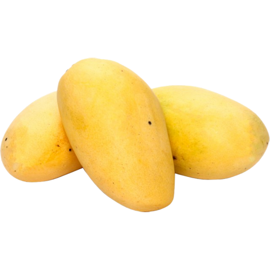 Manga Large | 900g-1000g