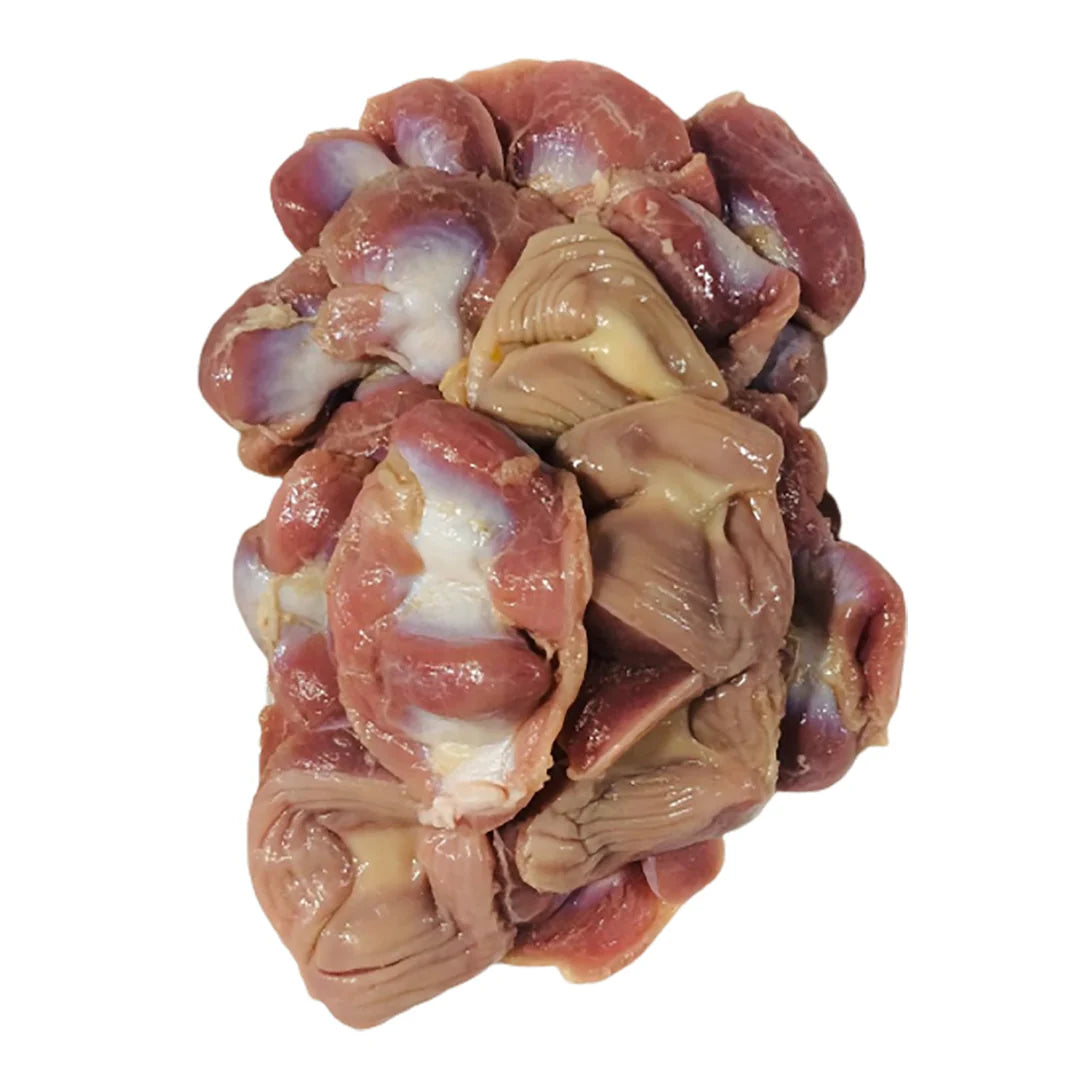 Chicken Gizzard | 500g