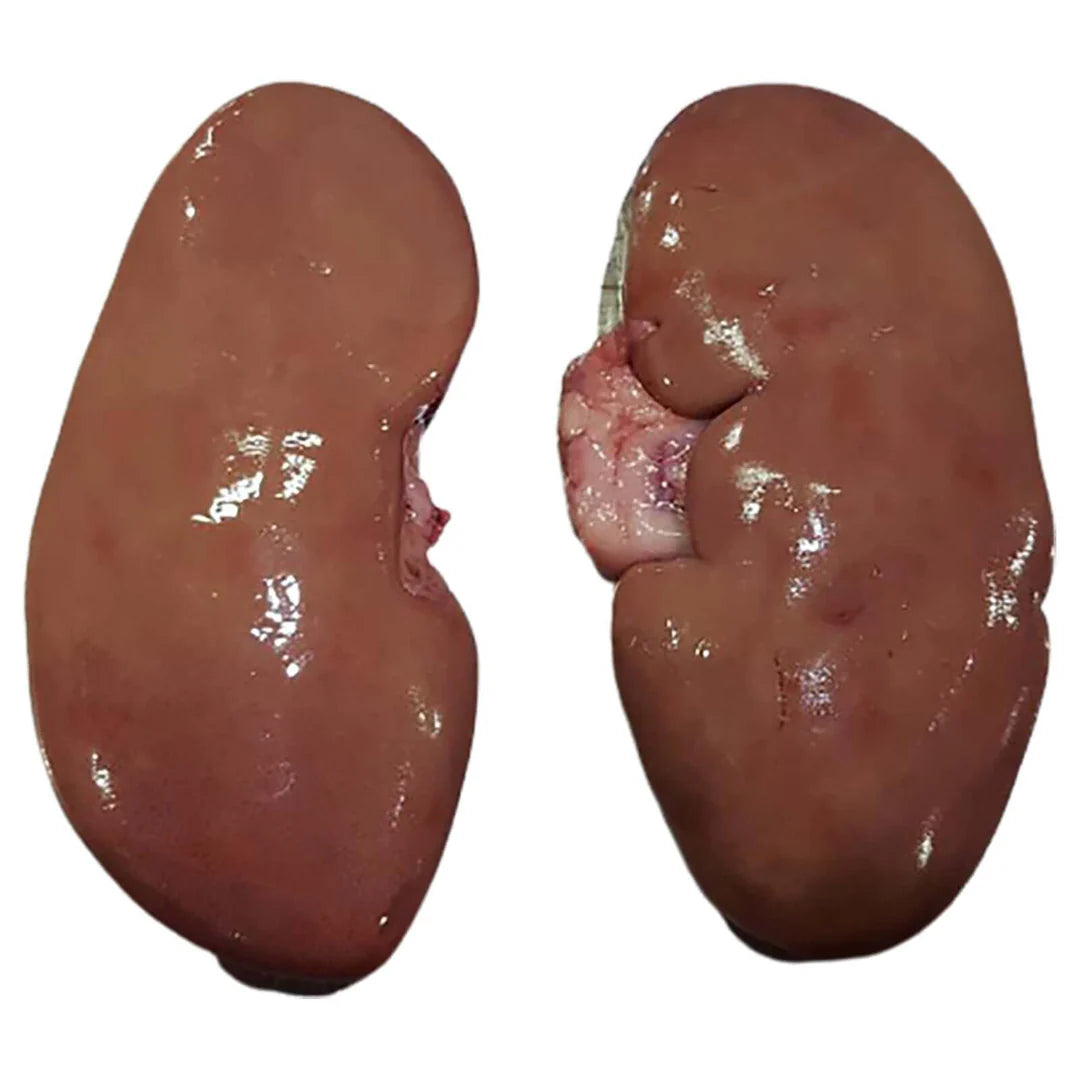 Pork Kidney | 500g