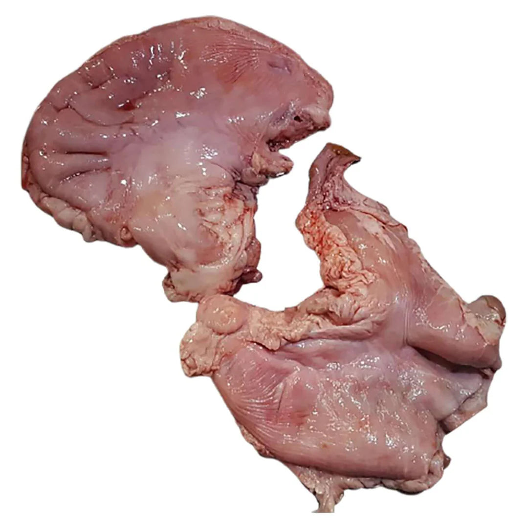 Pork Tripe | 500g