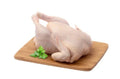 Premium Whole Chicken