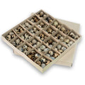 Quail Eggs - 24pcs (tray)