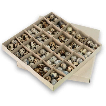 Quail Eggs - 24pcs (tray)