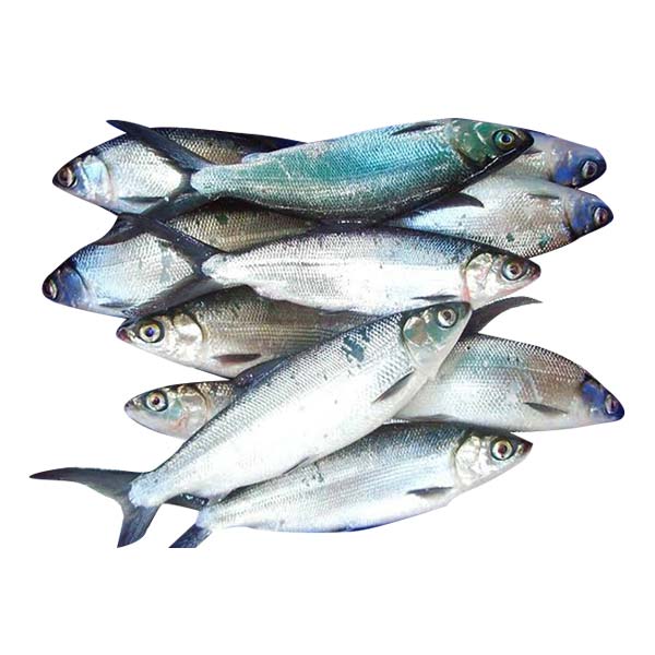 Bangus | 1kg