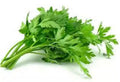 Parsley | 80g-100g